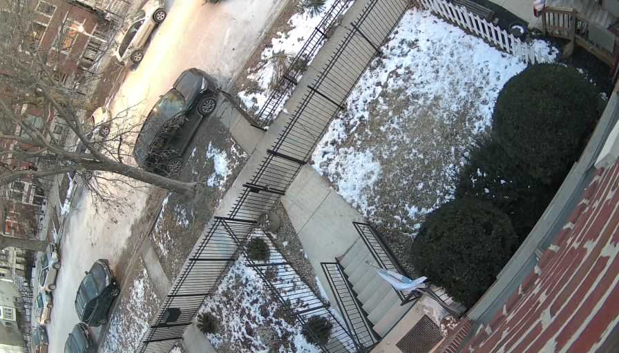 Reolink Camera Two_01_Reolink Home Hub One_20260123170637.jpg